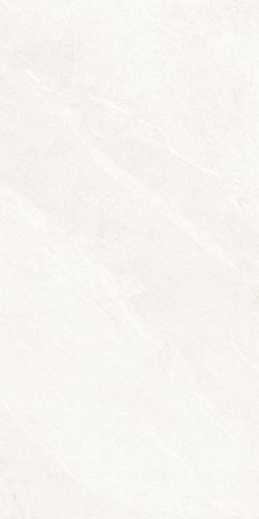 Dhara White Matte 24 x 48